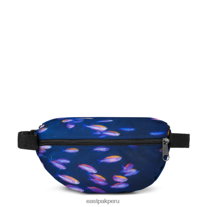 educación física Eastpak saltador pescado 62TTDP268 bolsas de hombro