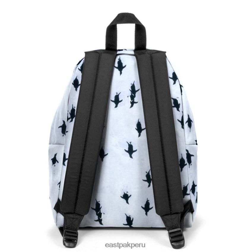 educación física Eastpak pak\'r acolchado ng peng uin 62TTDP7 mochilas