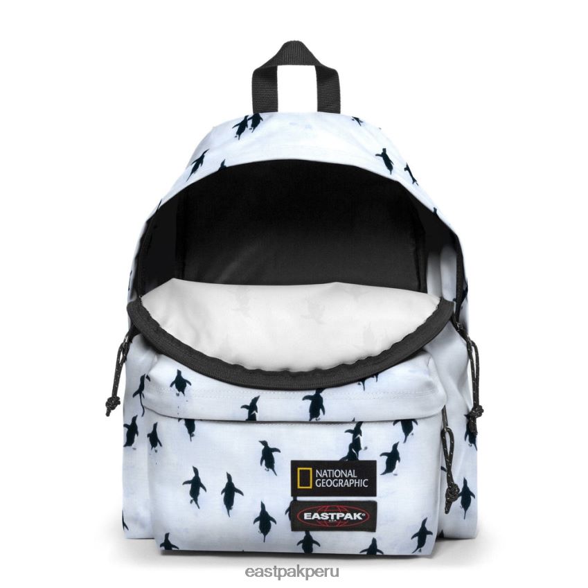 educación física Eastpak pak\'r acolchado ng peng uin 62TTDP7 mochilas
