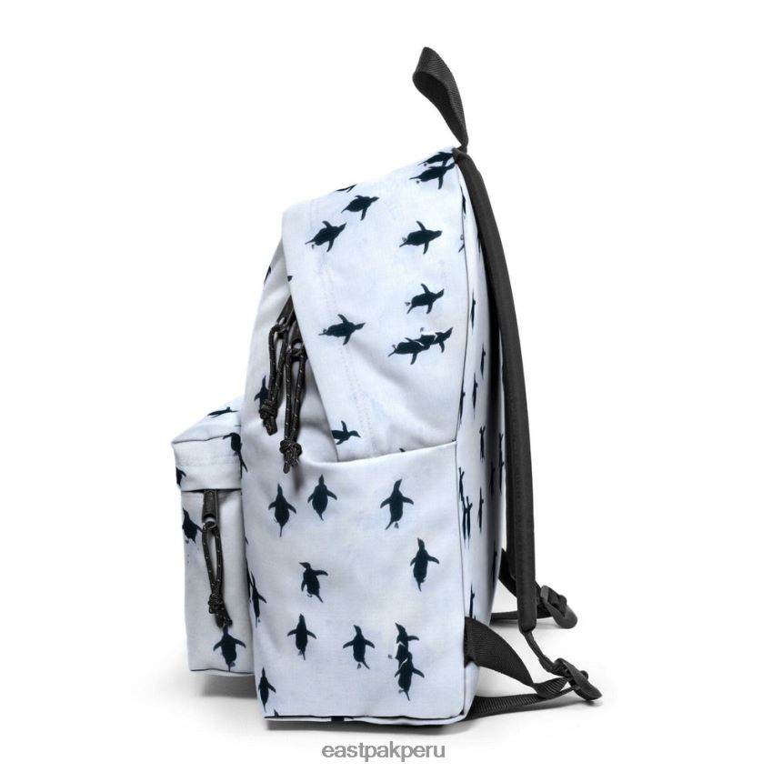 educación física Eastpak pak\'r acolchado ng peng uin 62TTDP7 mochilas