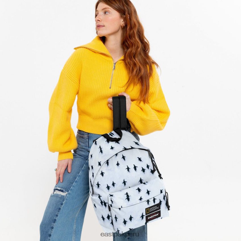 educación física Eastpak pak\'r acolchado ng peng uin 62TTDP7 mochilas
