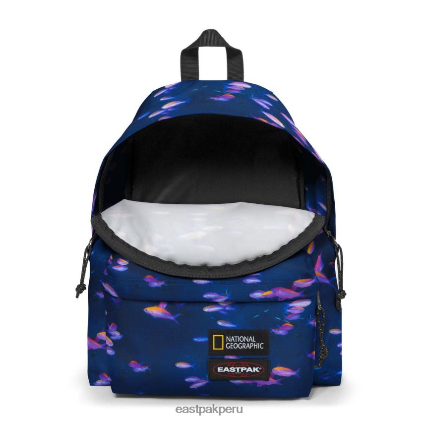 educación física Eastpak pak\'r acolchado pescado 62TTDP8 mochilas
