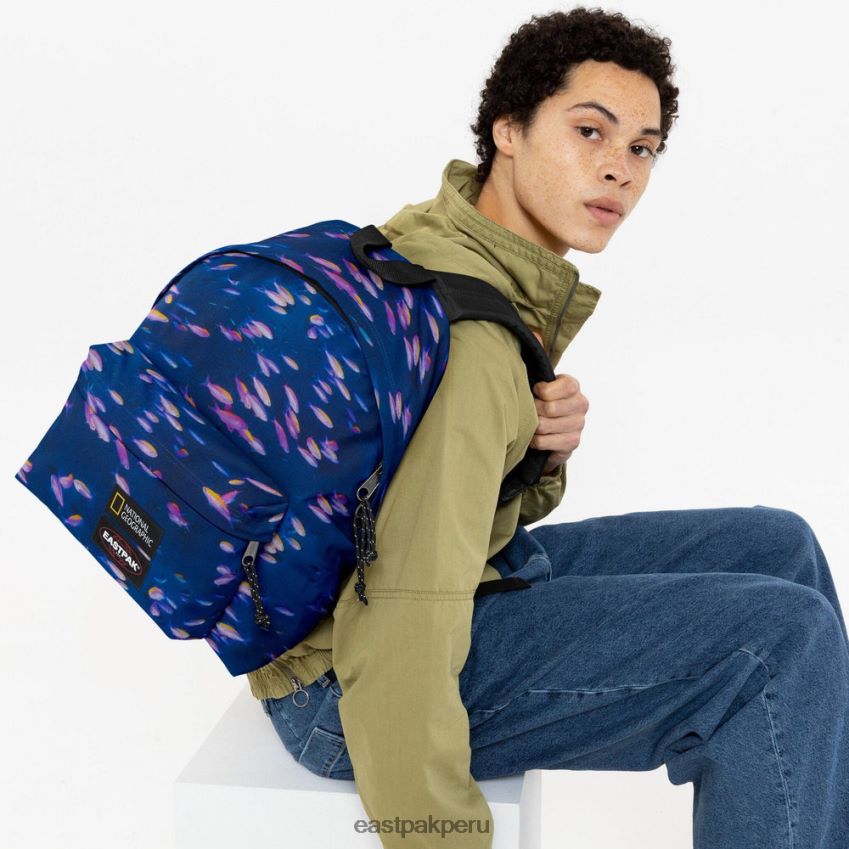 educación física Eastpak pak\'r acolchado pescado 62TTDP8 mochilas