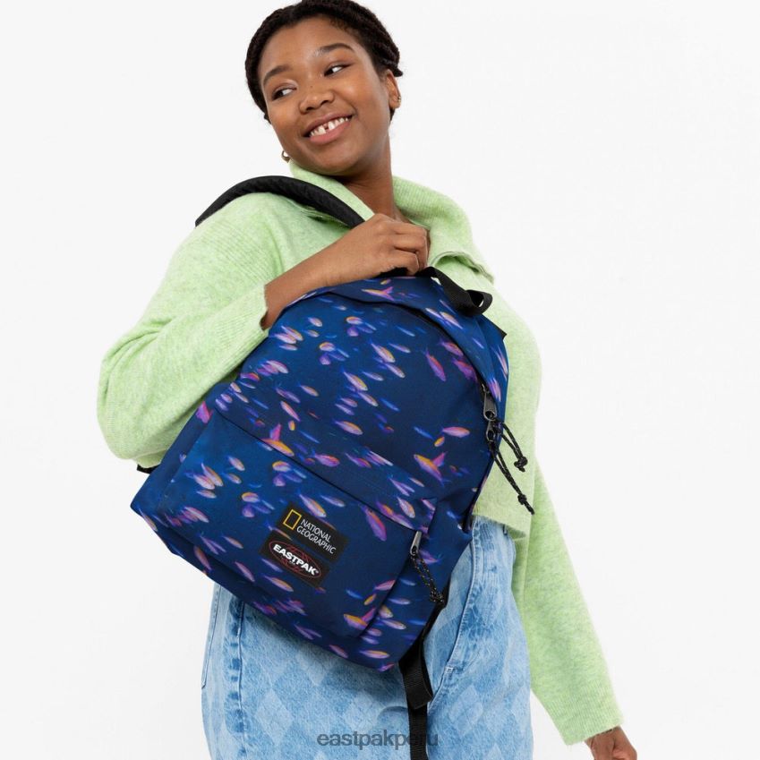 educación física Eastpak pak\'r acolchado pescado 62TTDP8 mochilas