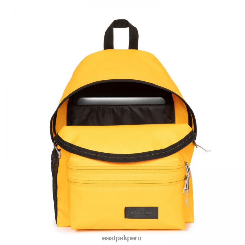 educación física Eastpak cremallera acolchada lona joven 62TTDP125 mochilas