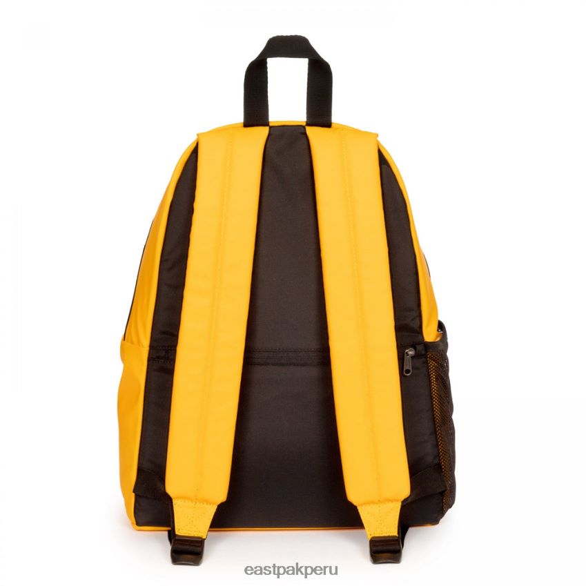 educación física Eastpak cremallera acolchada lona joven 62TTDP125 mochilas