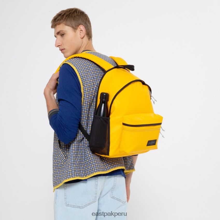 educación física Eastpak cremallera acolchada lona joven 62TTDP125 mochilas