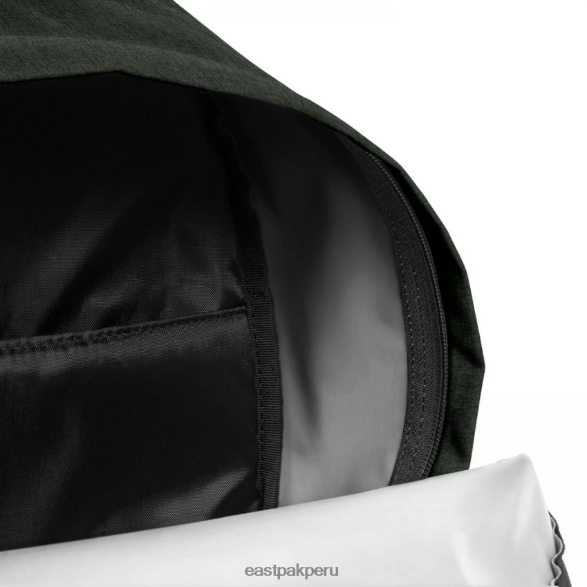educación física Eastpak cremallera acolchada + musgo astuto 62TTDP96 mochilas