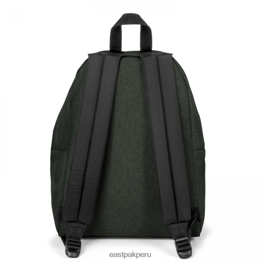 educación física Eastpak pak\'r acolchado musgo astuto 62TTDP121 mochilas