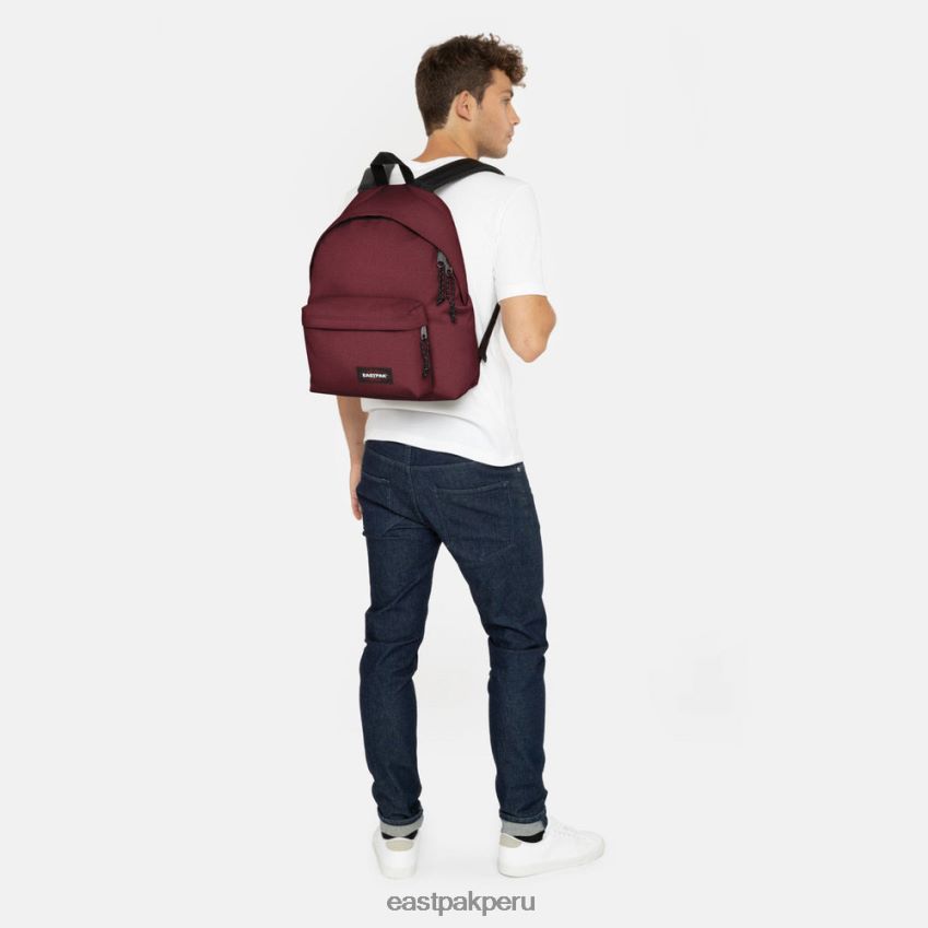 educación física Eastpak pak\'r acolchado vino astuto 62TTDP102 mochilas
