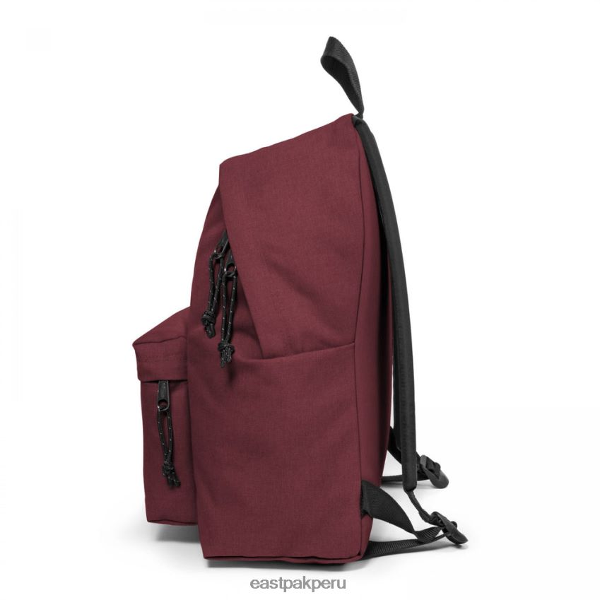 educación física Eastpak pak\'r acolchado vino astuto 62TTDP102 mochilas