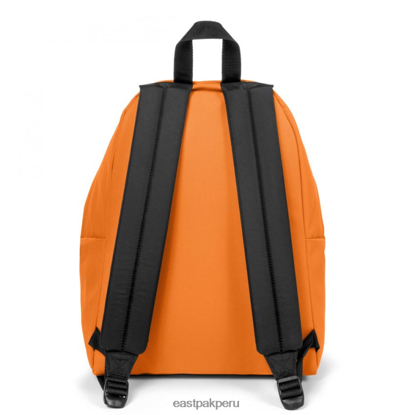 educación física Eastpak pak\'r acolchado naranja organica 62TTDP54 mochilas