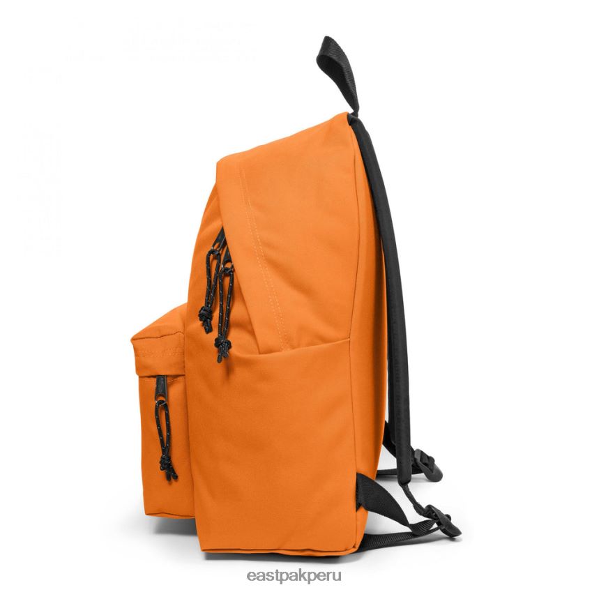 educación física Eastpak pak\'r acolchado naranja organica 62TTDP54 mochilas