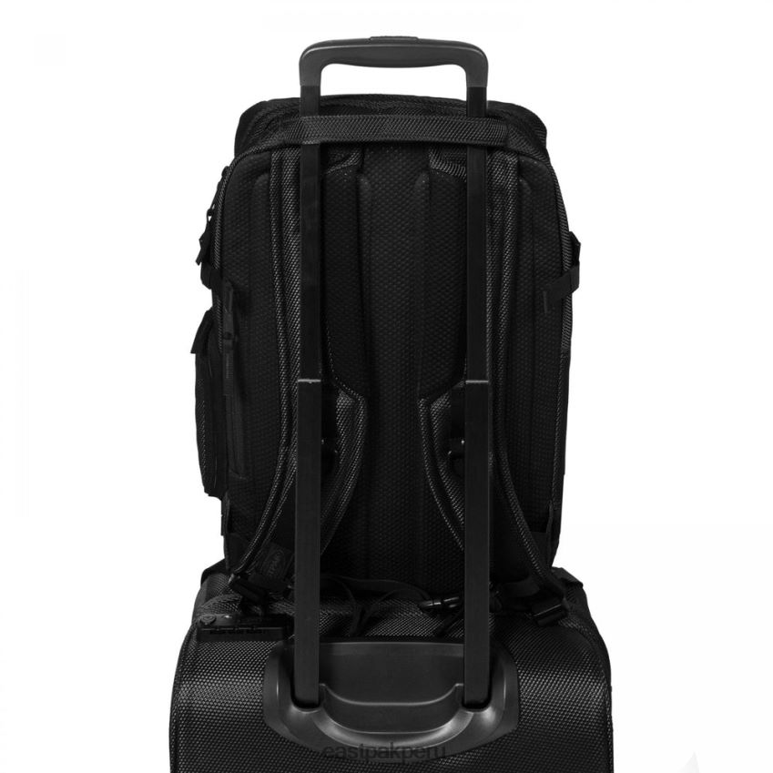 educación física Eastpak técum m abrigo 62TTDP143 mochilas
