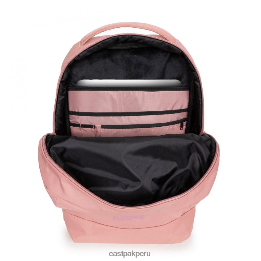 educación física Eastpak tecum f cnnct f rosa 62TTDP183 mochilas