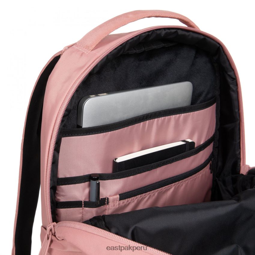educación física Eastpak tecum f cnnct f rosa 62TTDP183 mochilas